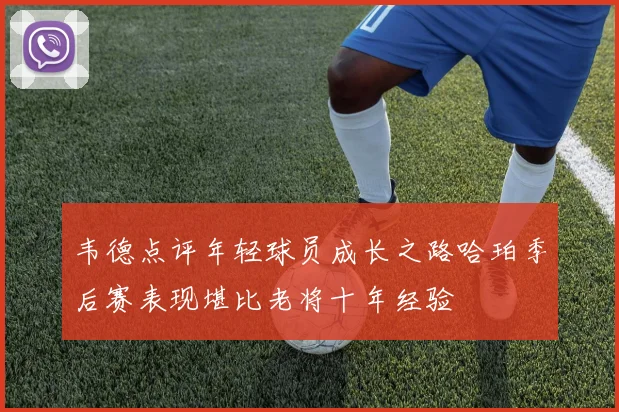 韦德点评年轻球员成长之路哈珀季后赛表现堪比老将十年经验